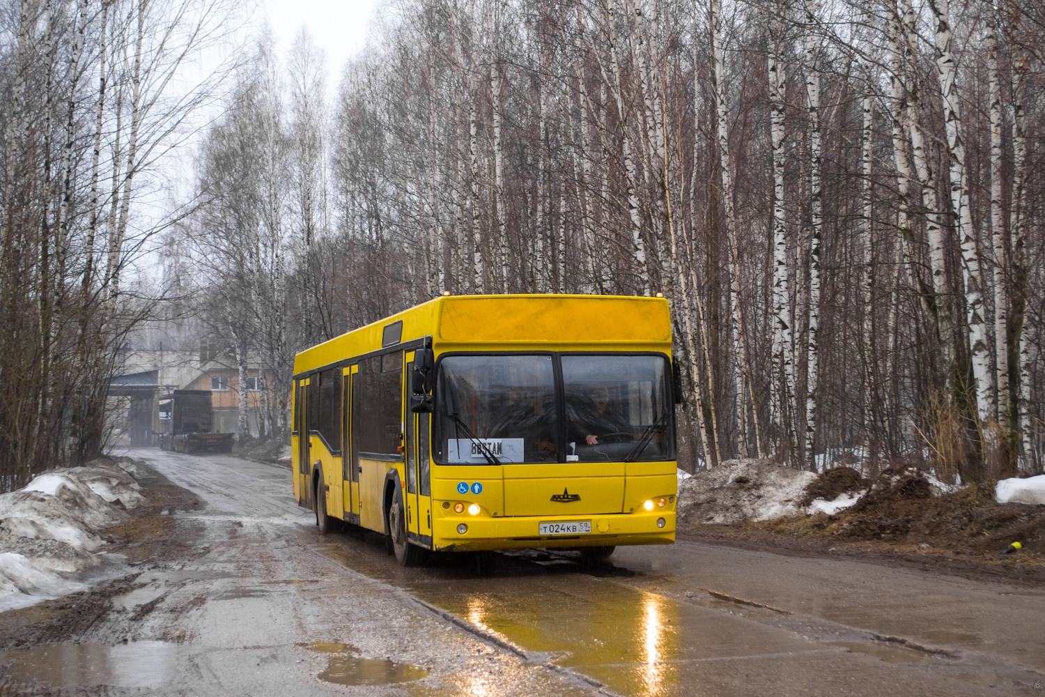 Пермский край, МАЗ-103.476 № Т 024 КВ 59