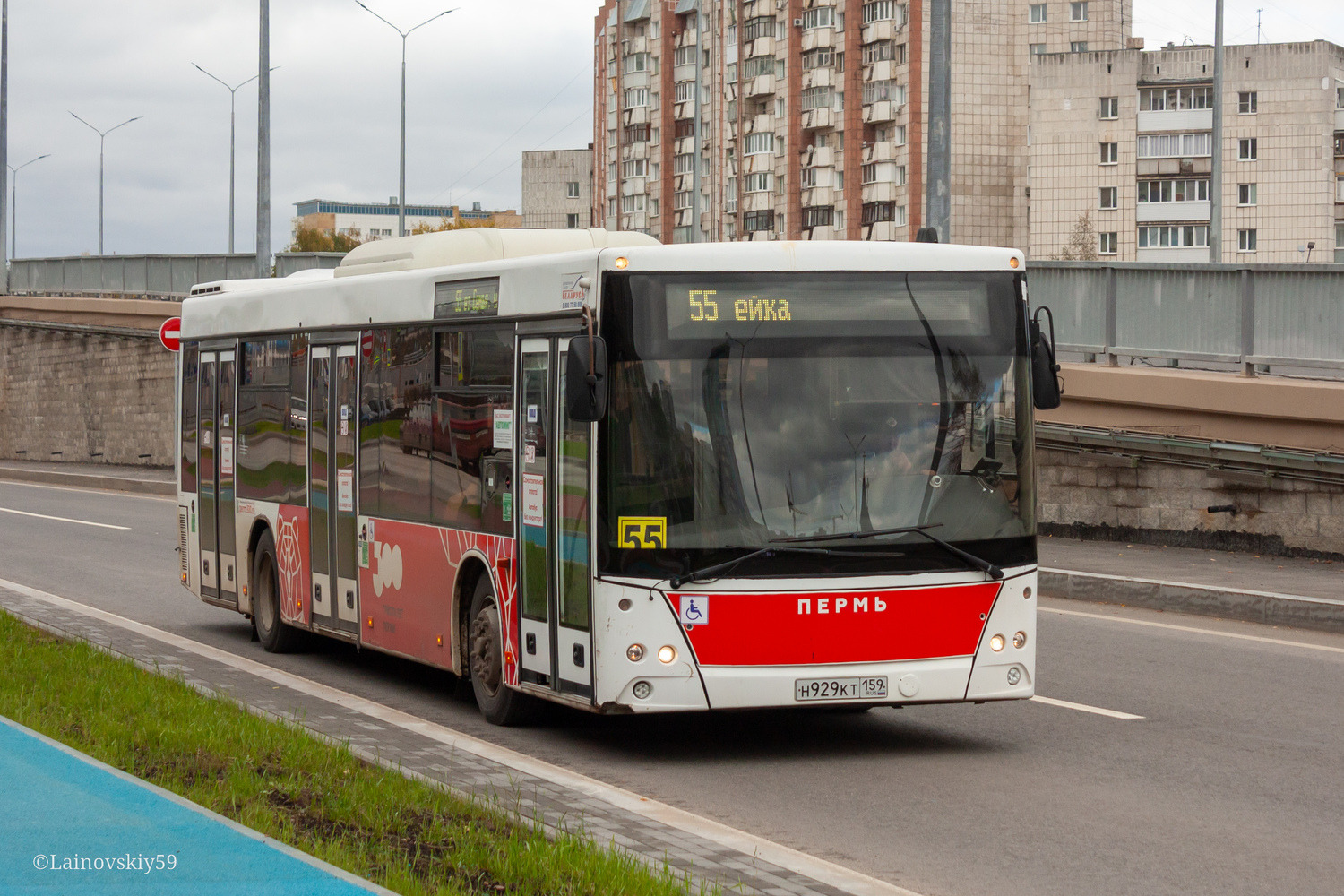 Пермский край, МАЗ-203.016 № Н 929 КТ 159