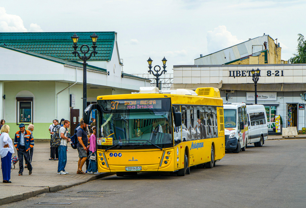 Минская область, МАЗ-203.047 № ВВ 0435-5