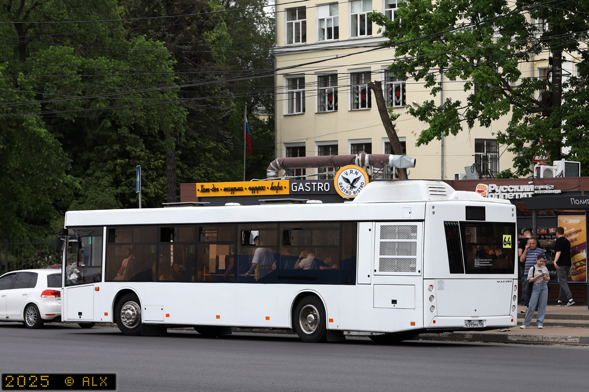Воронежская область, МАЗ-203.147 № Е 595 МХ 136