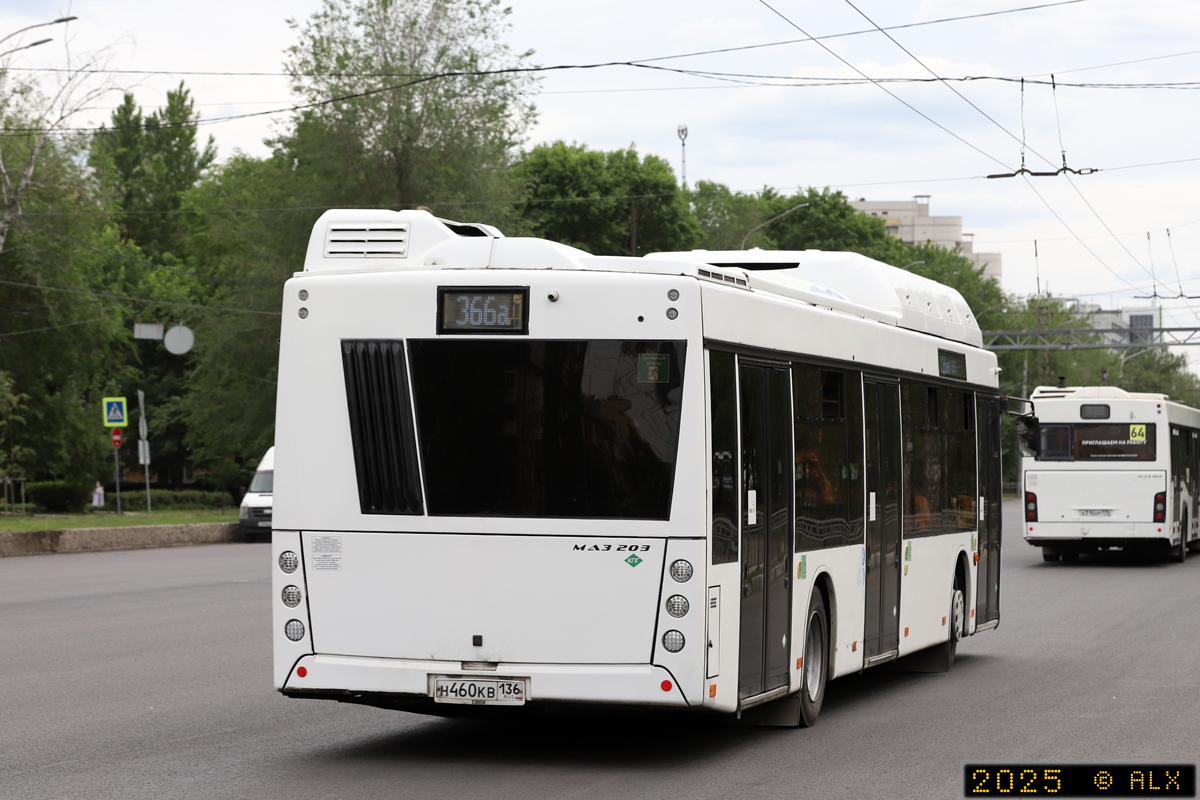 Воронежская область, МАЗ-203.948 № Н 460 КВ 136