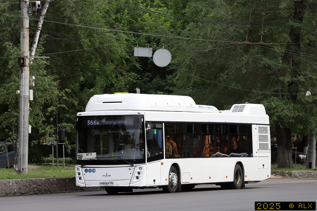 Воронежская область, МАЗ-203.948 № Н 460 КВ 136