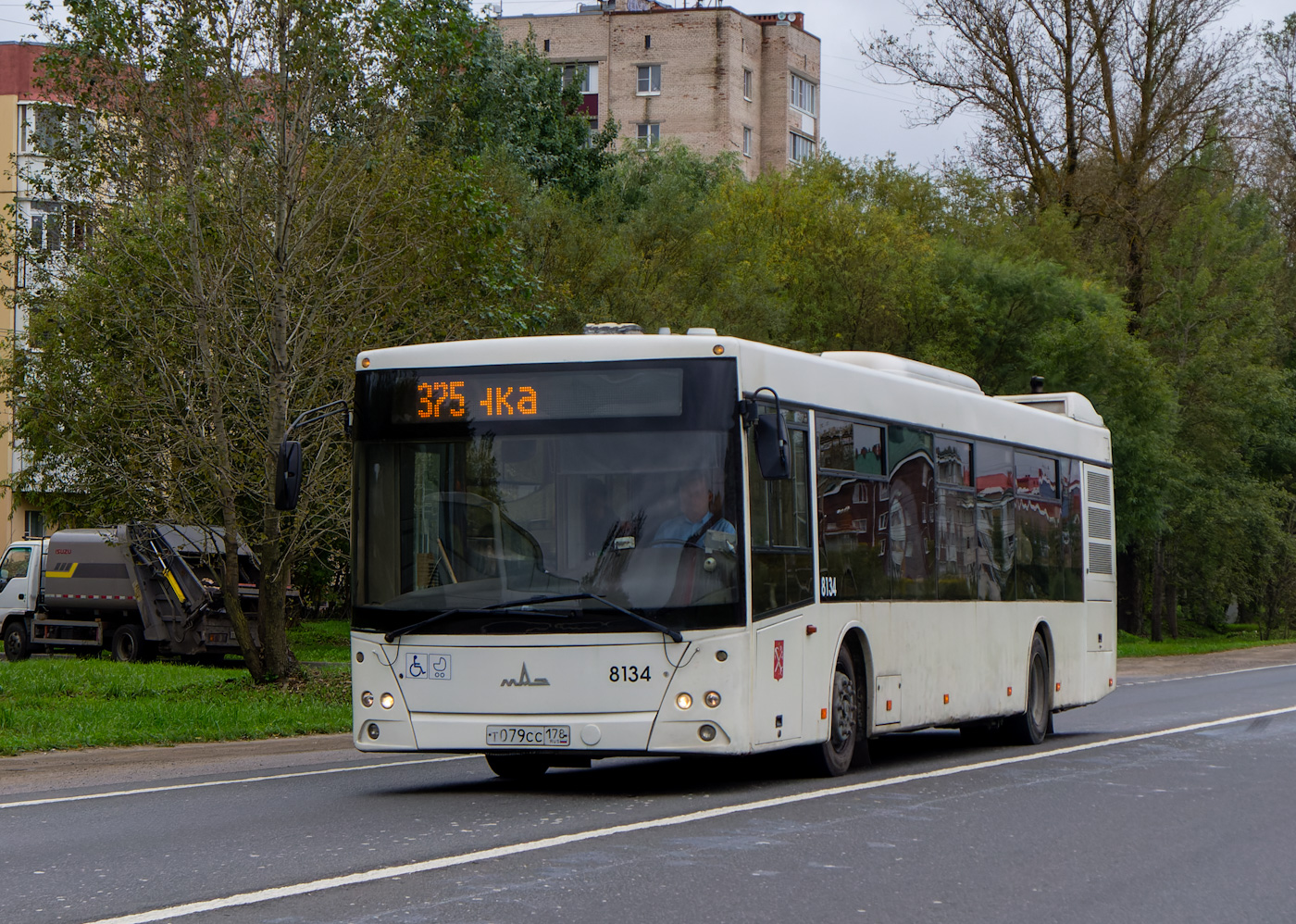Санкт-Петербург, МАЗ-203.085 № 8134