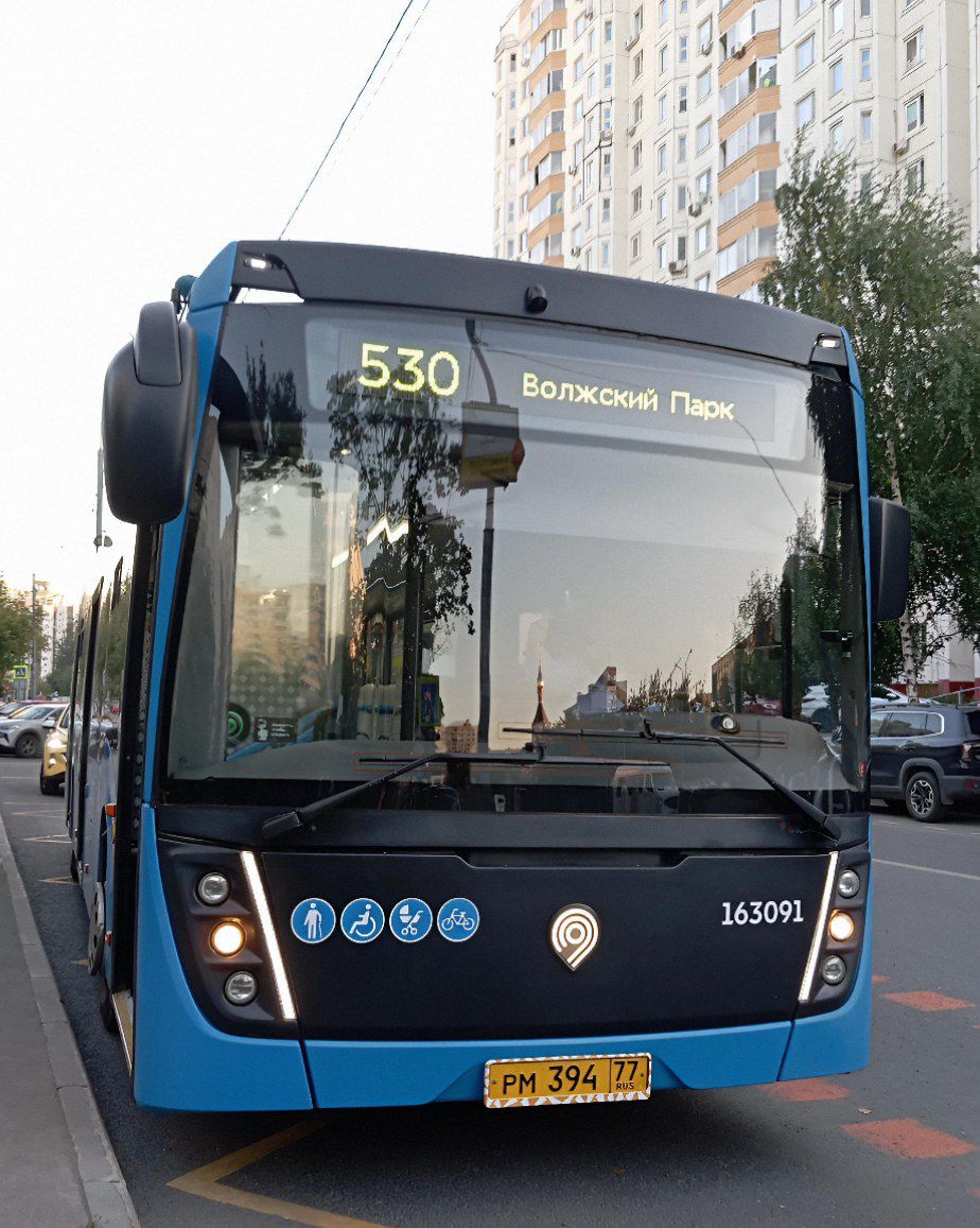 Москва, НефАЗ-5299-40-52 № 163091