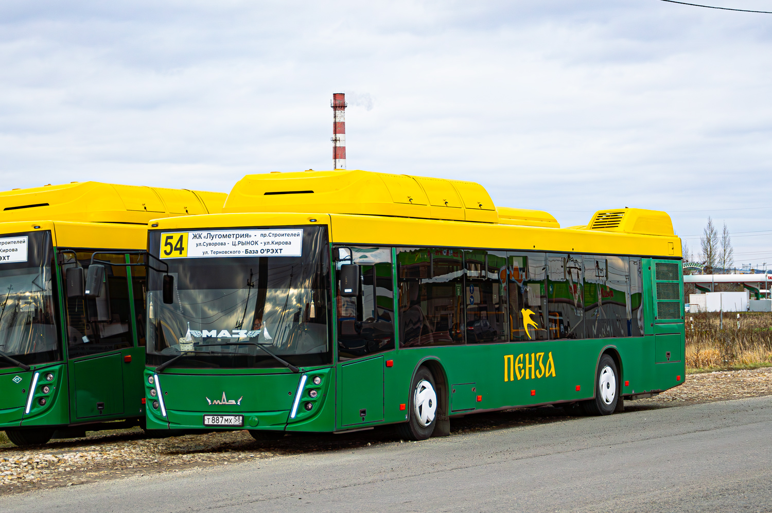 Пензенская область, МАЗ-203.948 № Т 887 МХ 58