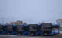 Krasznojarszki határterület, MAZ-203.947 # У 172 АВ 224; Krasznojarszki határterület, MAZ-203.947 # У 148 АВ 224; Krasznojarszki határterület, MAZ-203.947 # У 185 АВ 224; Krasznojarszki határterület, MAZ-203.947 # У 212 АВ 224