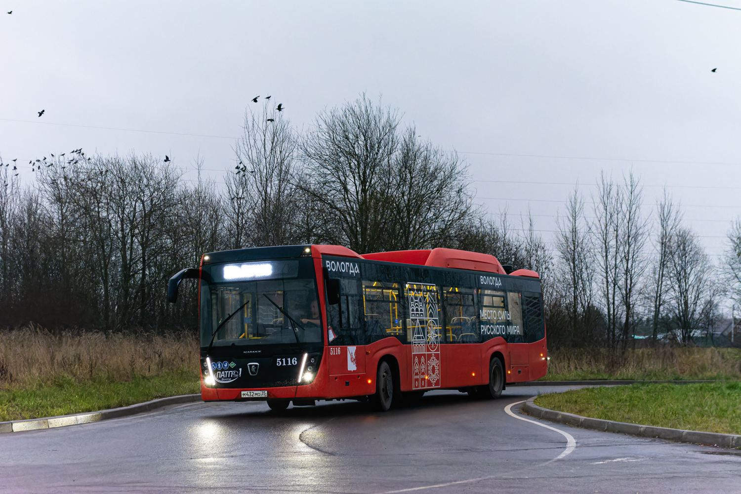 Вологодская область, НефАЗ-5299-40-57 (CNG) № 5116