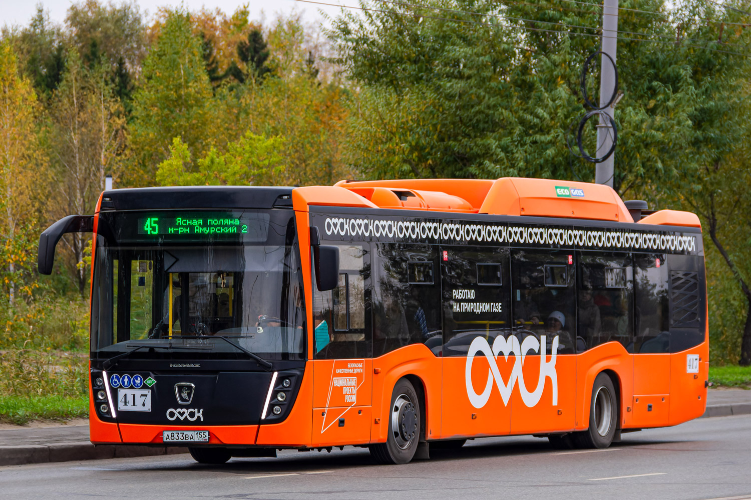 Омская область, НефАЗ-5299-40-57 (CNG) № 417