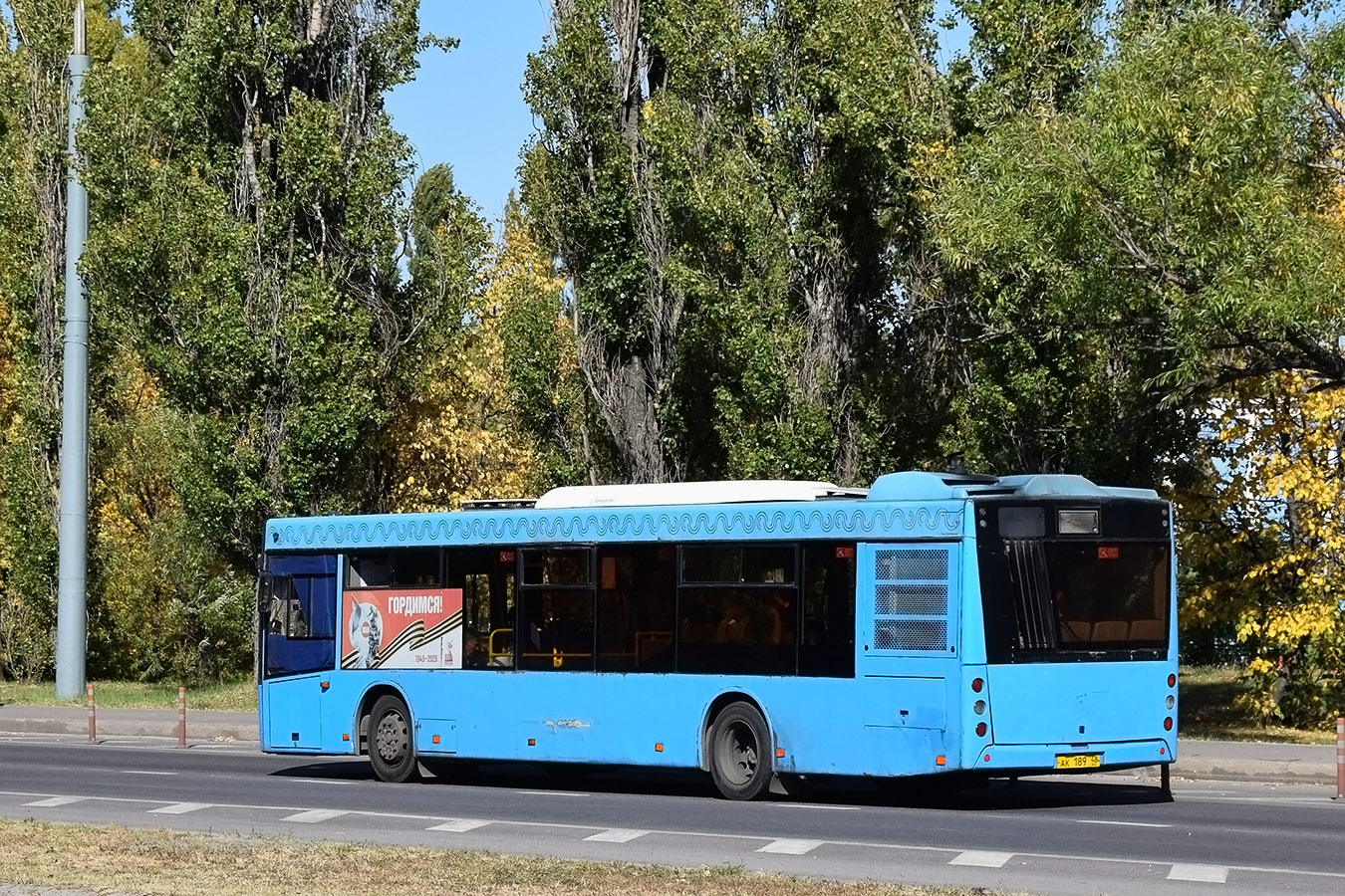 Липецкая область, МАЗ-203.069 № АК 189 48