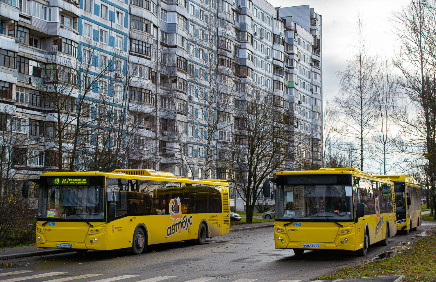 Ярославская область, ЛиАЗ-5292.65 № 21081; Ярославская область, ЛиАЗ-5292.65 № 22003