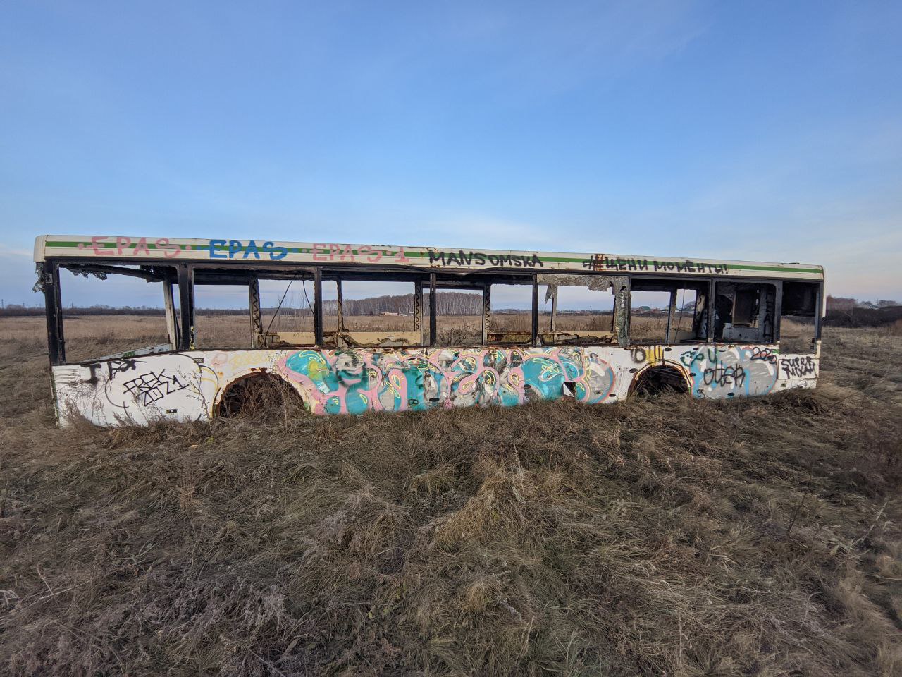 Новосибирская область, ЛиАЗ-5292.20 № У 644 ВР 55