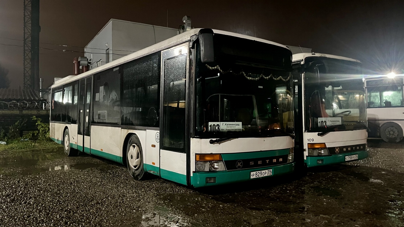 Калининградская область, Setra S315NF № Р 829 ОР 39