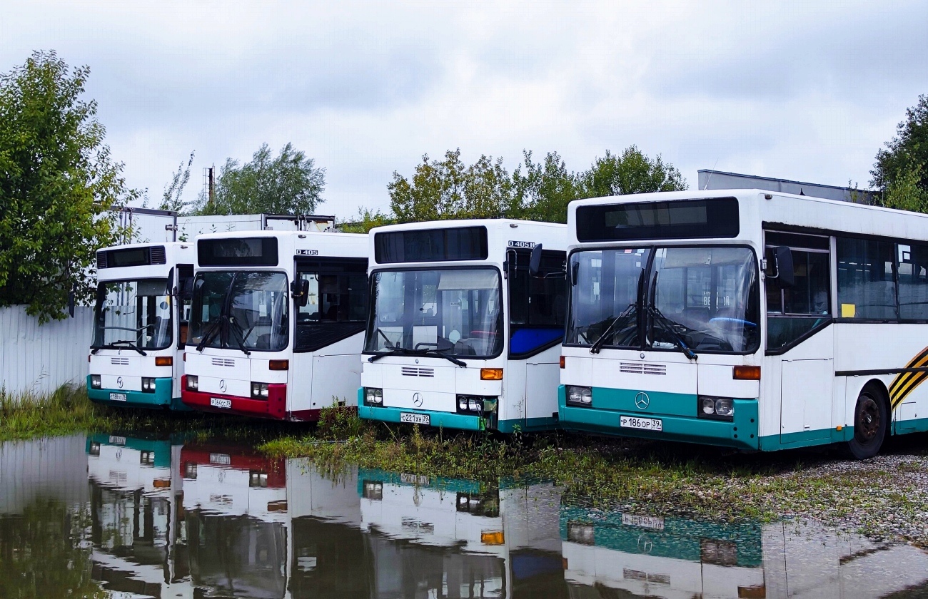 Калининградская область — Разные фотографии