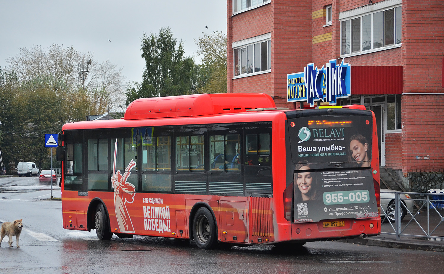 Тюменская область, Zhong Tong LCK6105HGC Fashion № АМ 097 72