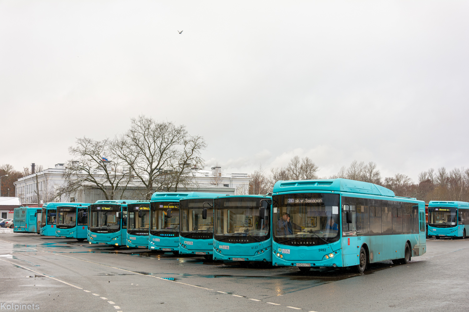 Санкт-Петербург, Volgabus-5270.G4 (LNG) № 7103; Санкт-Петербург, Volgabus-5270.G2 (LNG) № 6159; Санкт-Петербург, Volgabus-5270.G2 (LNG) № 6167; Санкт-Петербург, Volgabus-5270.G2 (CNG) № 5982; Санкт-Петербург, Volgabus-5270.G2 (CNG) № 5969; Санкт-Петербург — Автобусные станции