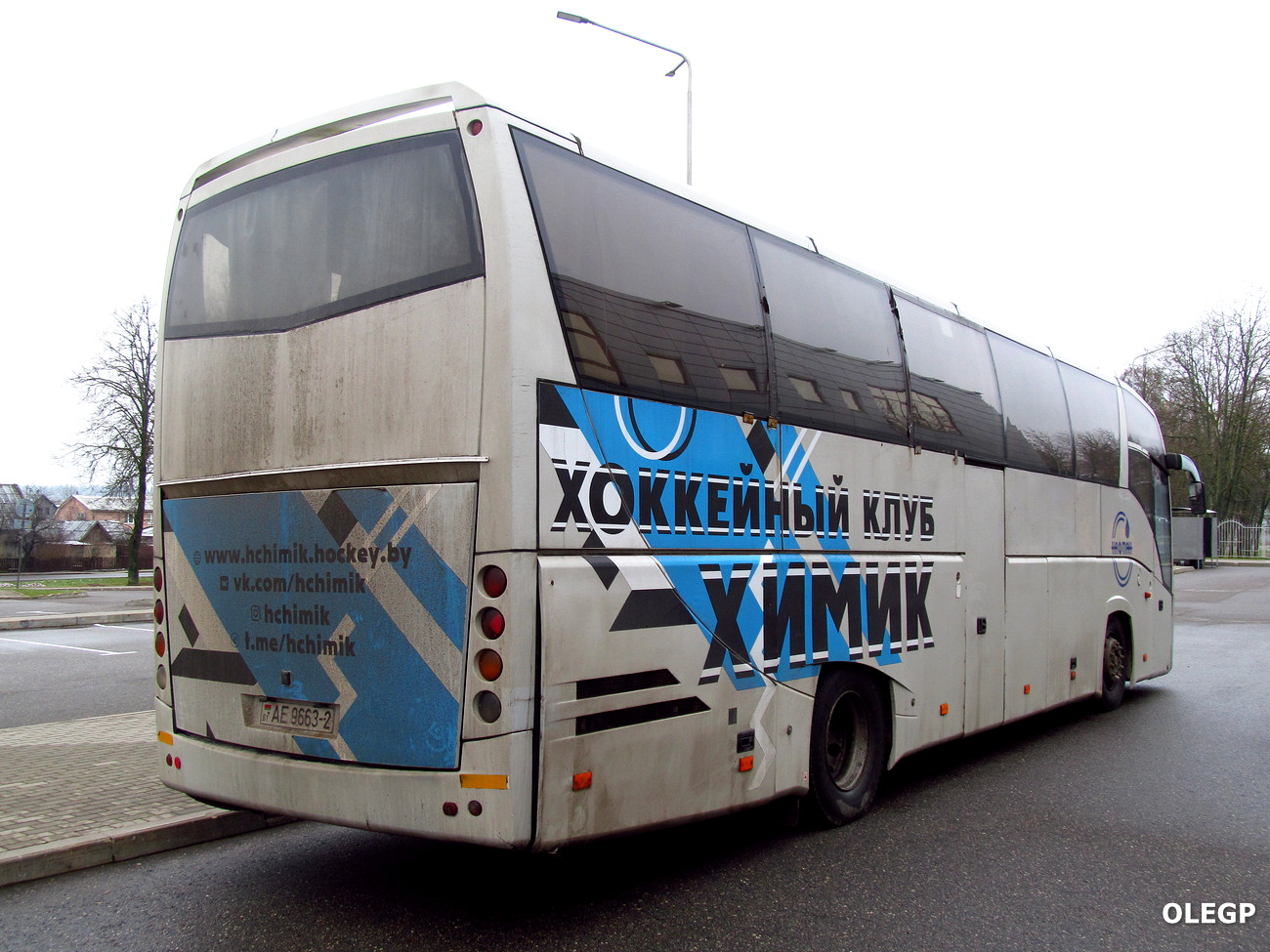 Витебская область, МАЗ-251.050 № АЕ 9663-2