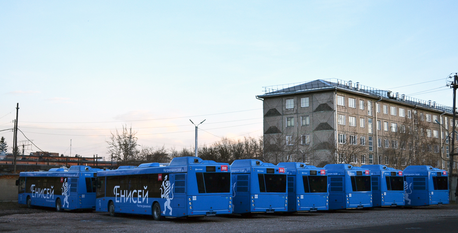 Красноярский край — Новые автобусы