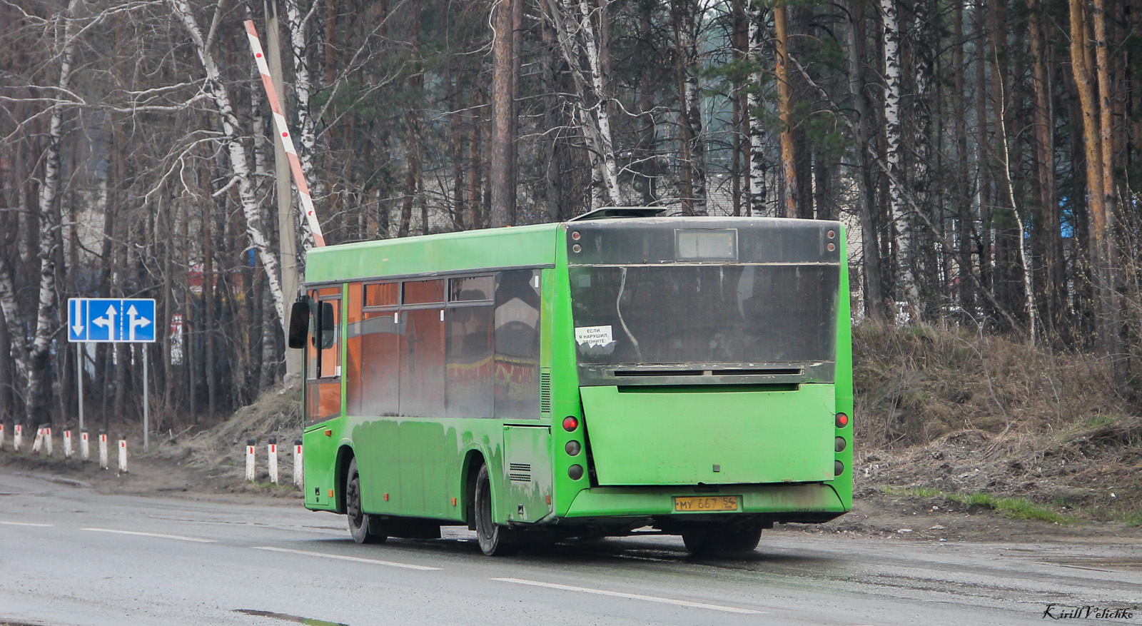 Новосибирская область, МАЗ-206.060 № 3129
