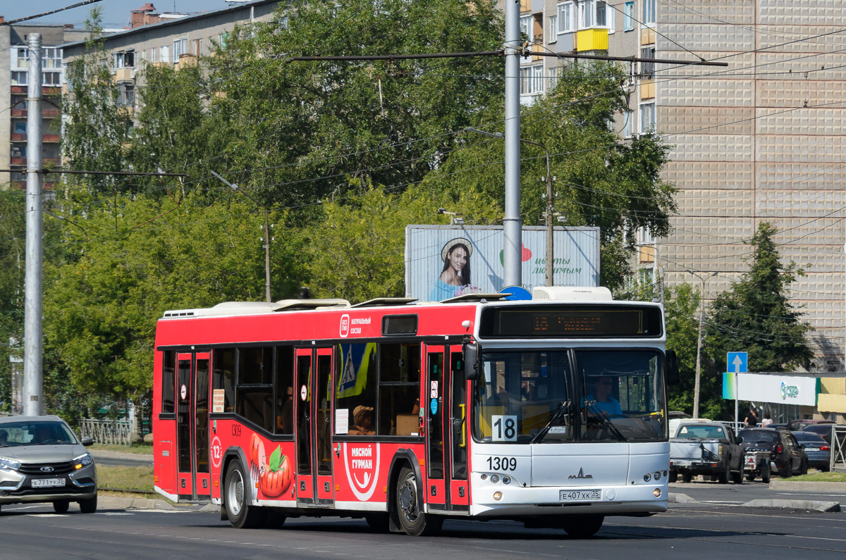 Вологодская область, МАЗ-103.469 № 1309