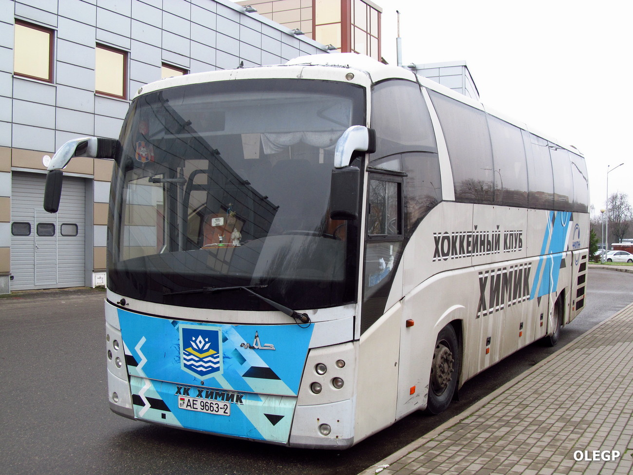 Витебская область, МАЗ-251.050 № АЕ 9663-2