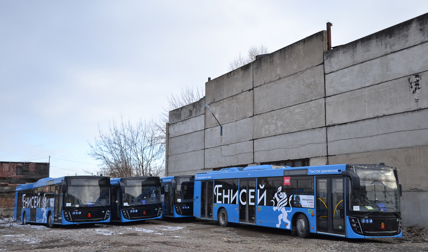 Красноярский край — Новые автобусы