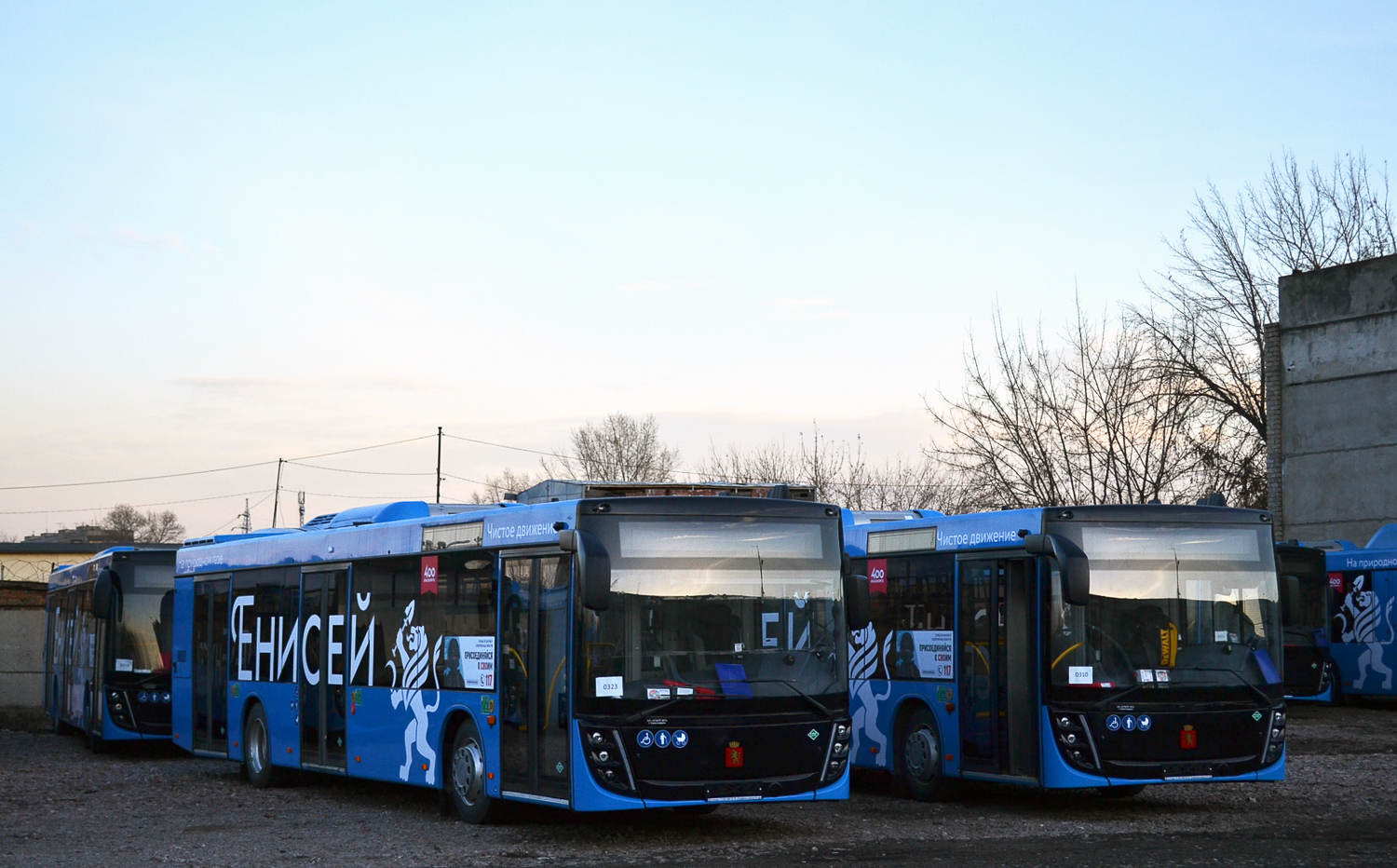 Красноярский край, МАЗ-203.947 № У 453 АВ 224; Красноярский край — Новые автобусы