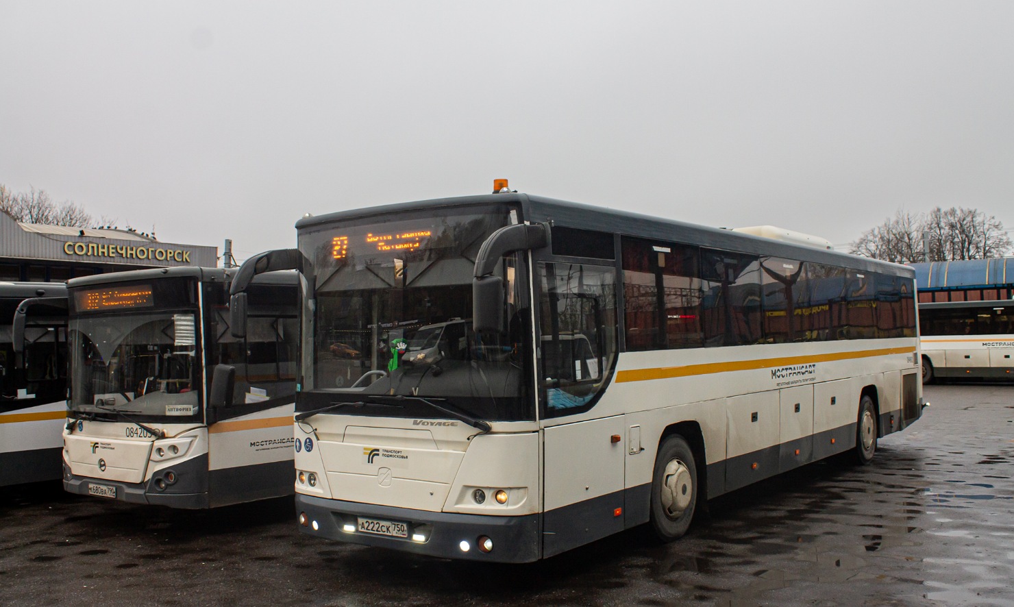 Московская область, ЛиАЗ-5250 № 084801