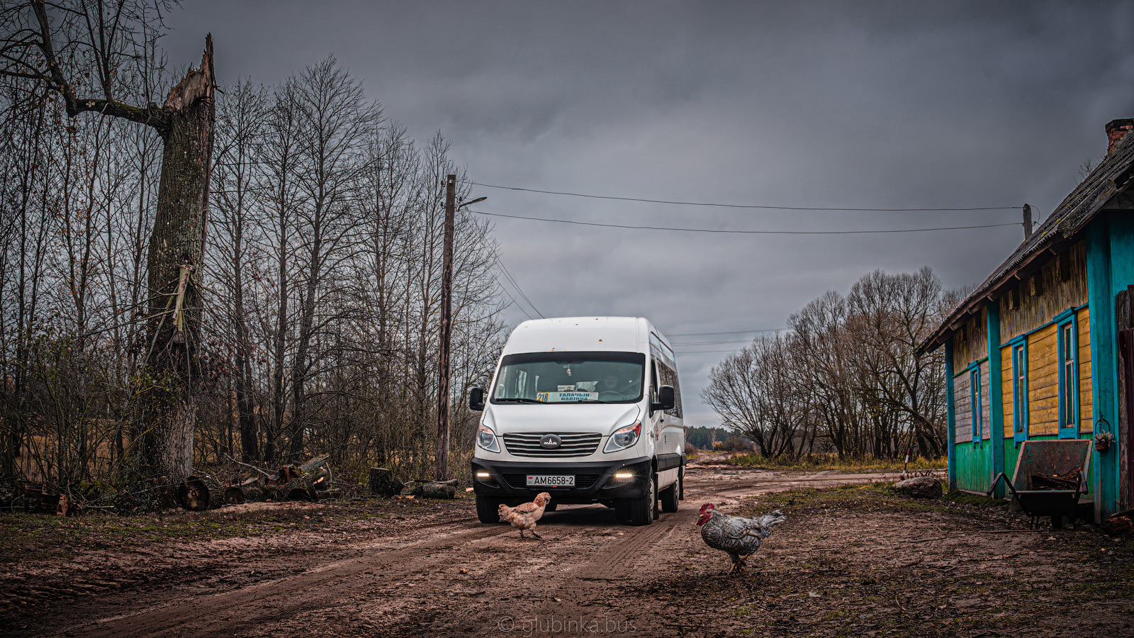 Витебская область, МАЗ-281.040 № АМ 6658-2; Витебская область — Разные фотографии