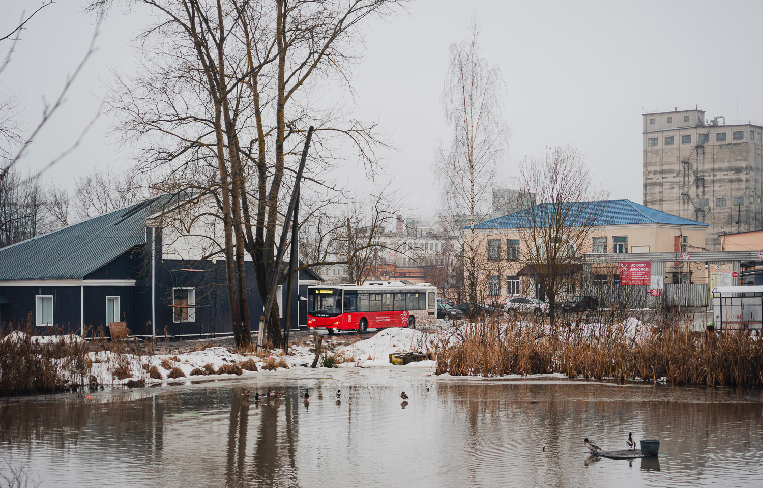 Владимирская область — Разные фотографии