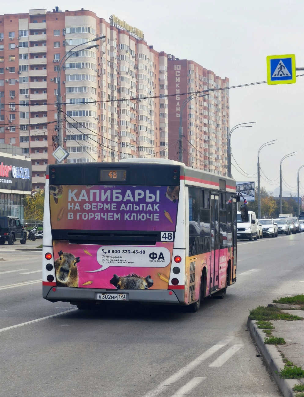 Краснодарский край, МАЗ-206.085 № К 302 МР 193