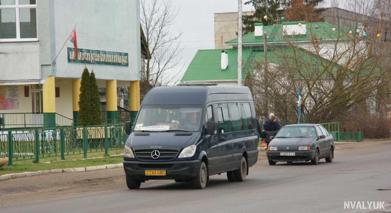 Витебская область, Самотлор-НН-323911 (MB Sprinter 515CDI) № 2 ТАХ 4301