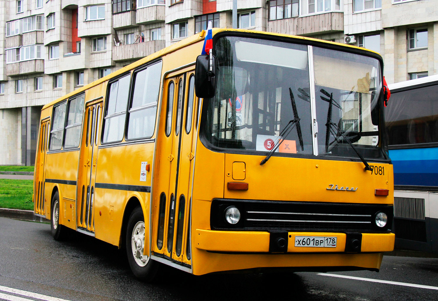 Санкт-Петербург, Ikarus 260.37 № 7081; Санкт-Петербург — VI Международный транспортный фестиваль "ТранспортФест-2025"