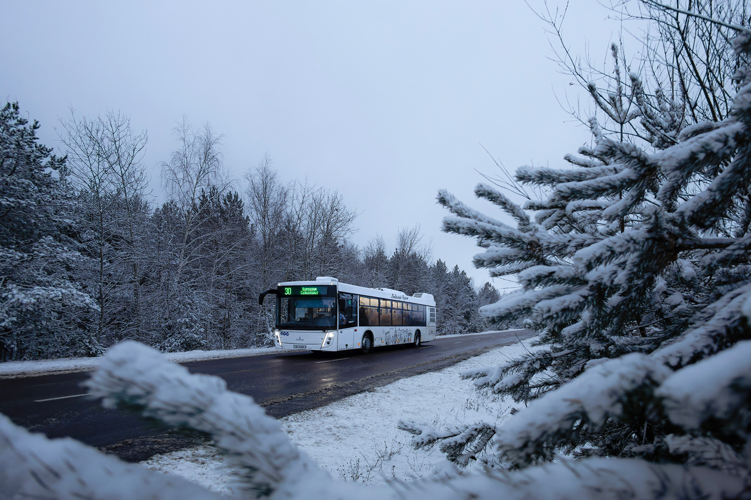 Брестская область, МАЗ-203.047 № 494; Брестская область — Фотозарисовки