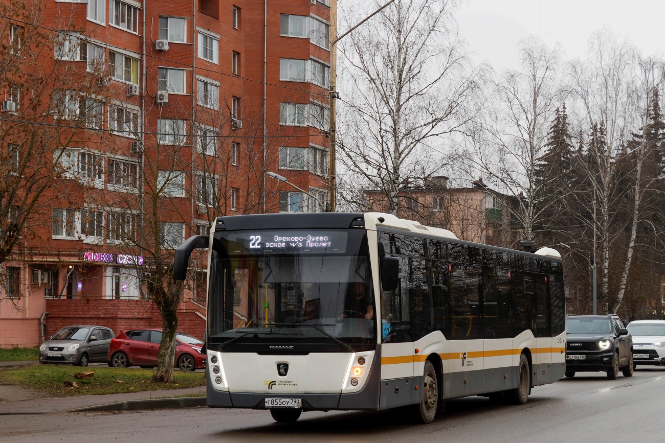 Московская область, НефАЗ-5299-40-52 № 124211