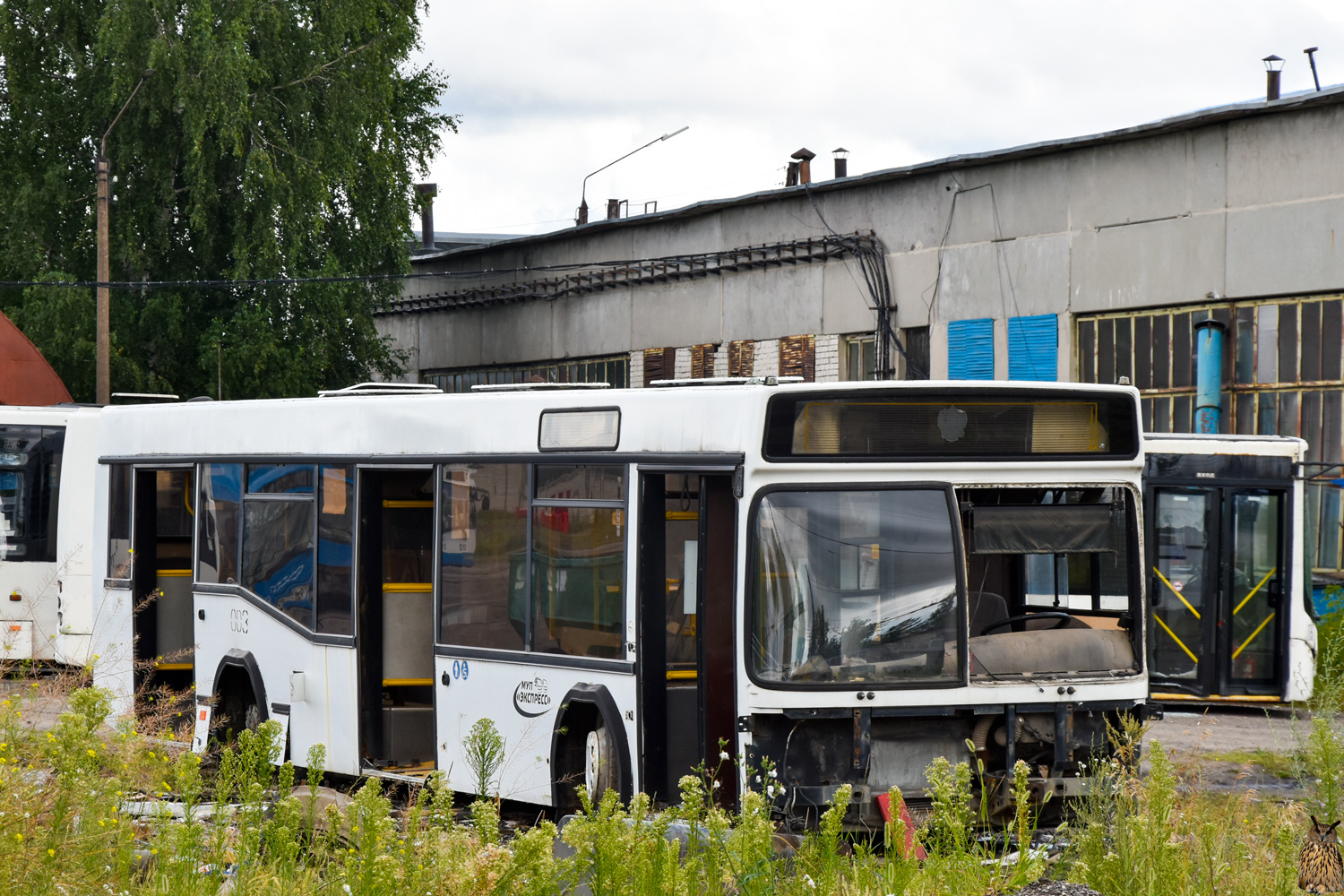 Нижегородская область, МАЗ-103.465 № 003