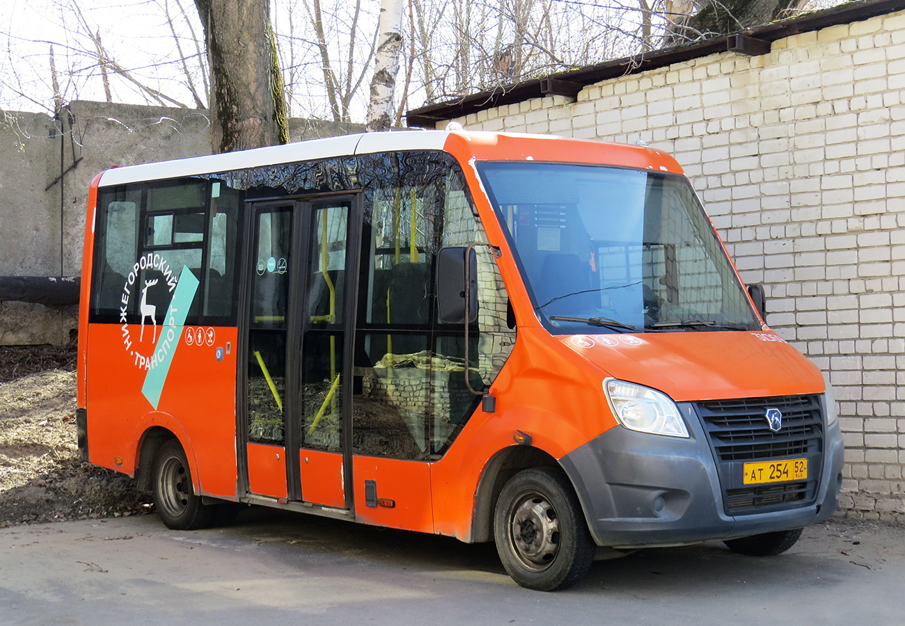 Нижегородская область, Луидор-2250DS (ГАЗ Next) № 31069