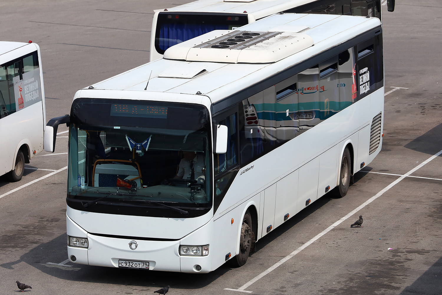 Калининградская область, Irisbus Crossway 12.8M № 24