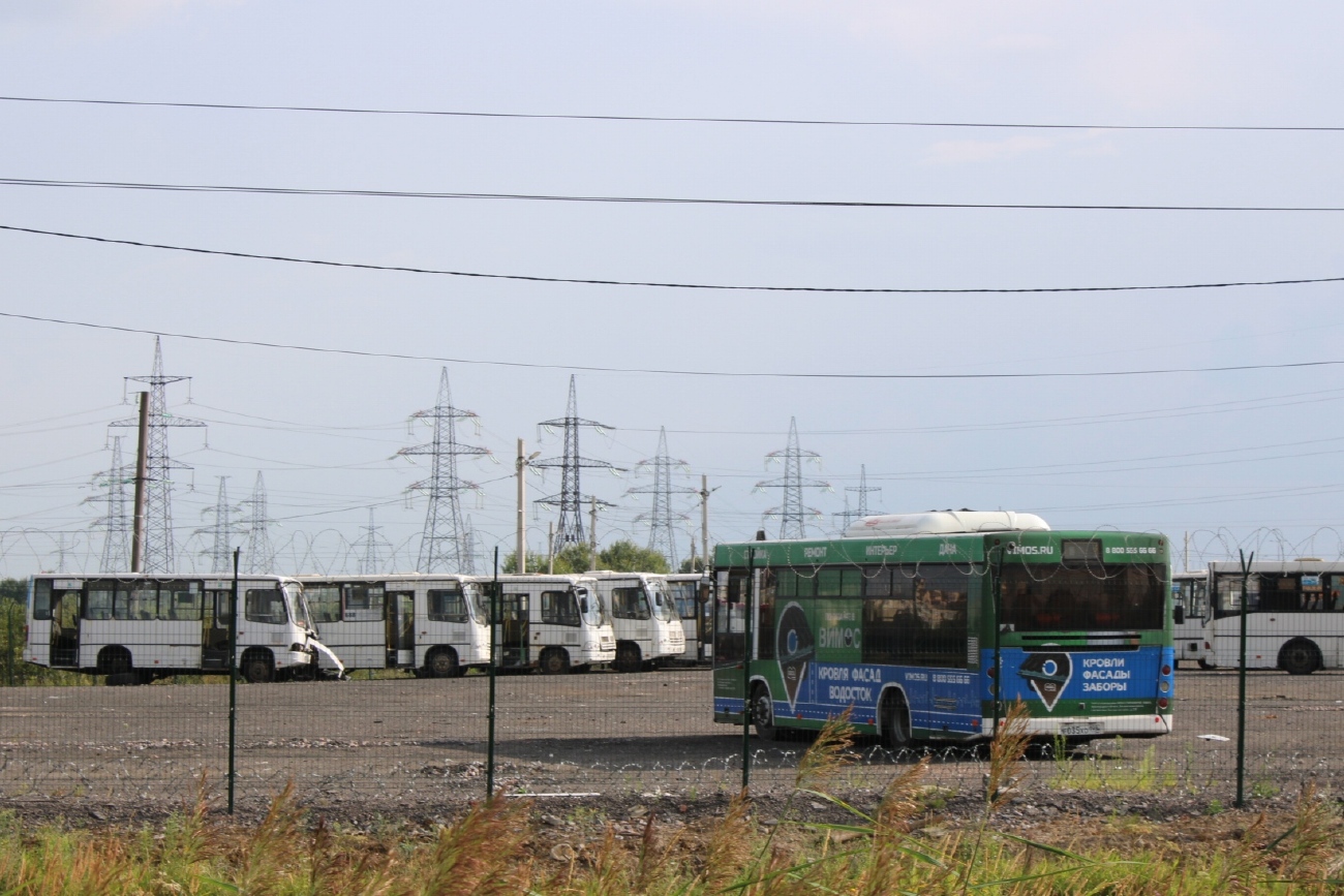 Санкт-Петербург, ПАЗ-320402-05 № 9183; Санкт-Петербург, МАЗ-206.086 № 4664; Санкт-Петербург — Автобусные парки и стоянки