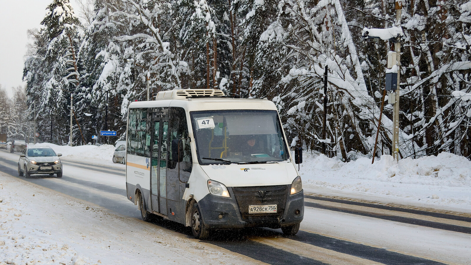 Московская область, Луидор-2250DS (ГАЗ Next) № 9280