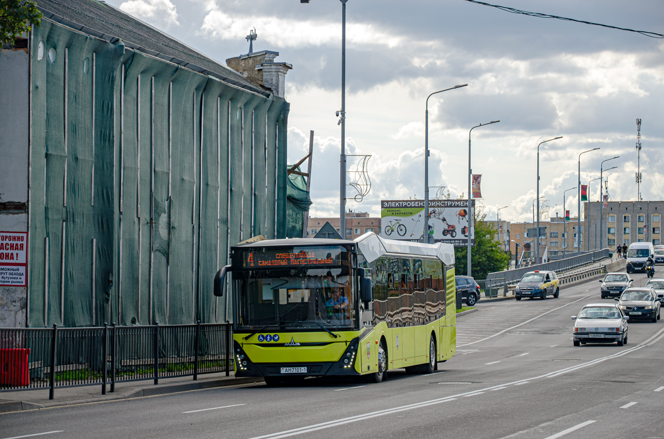 Brestská oblast, MAZ-303.065 č. 10250