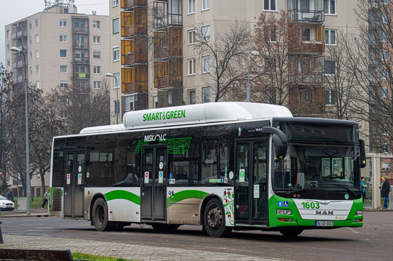 Венгрия, MAN A21 Lion's City NL273 CNG № 1603