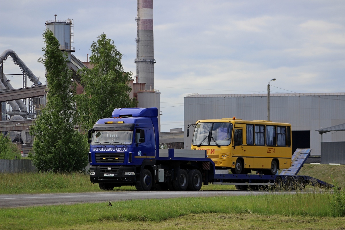 Могилёвская область, ПАЗ-3203  (все) № АІ 6089-6